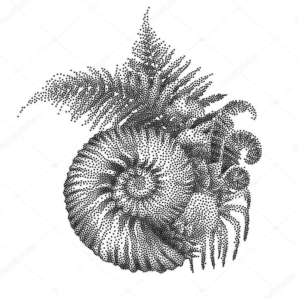 Prehistoric graphic seashell and fern branches