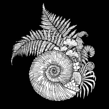 Tarih öncesi grafik deniz kabuğu ve fern dalları