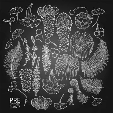 Vektör Tarih öncesi bitki topluluğu