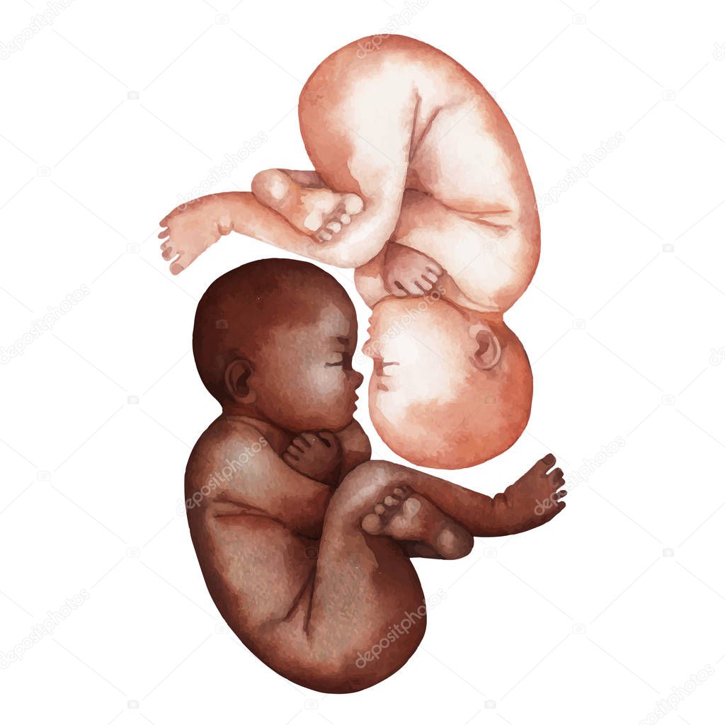 Watercolor African American and Caucasian babies
