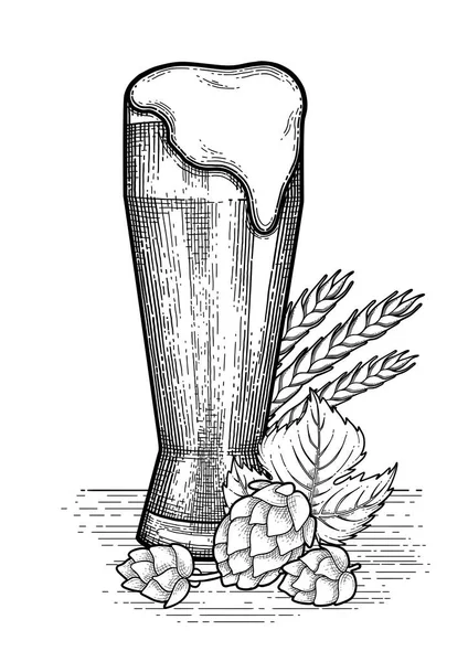 Графический дизайн пива — стоковый вектор