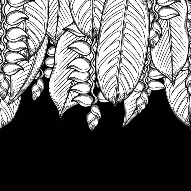 Grafik heliconia tasarım