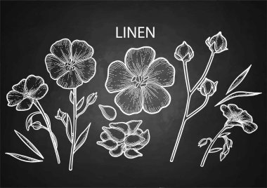 Grafik keten kümesi