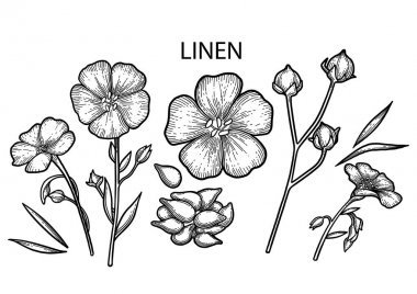 Grafik keten kümesi