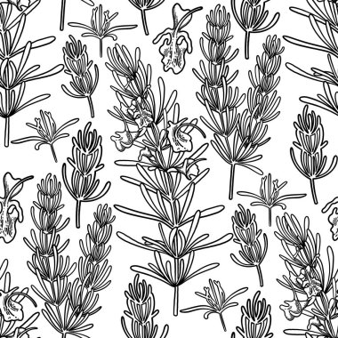 Grafik biberiye seti