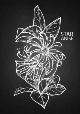 Grafik yıldız anason