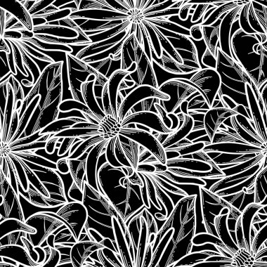 Grafik yıldız anason