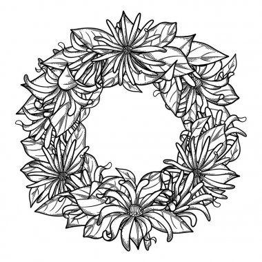 Grafik anasonu çelenk