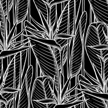 Grafik STERLİÇYA desen