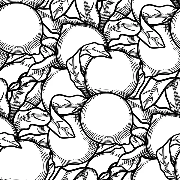 Noci di macadamia grafica — Vettoriale Stock