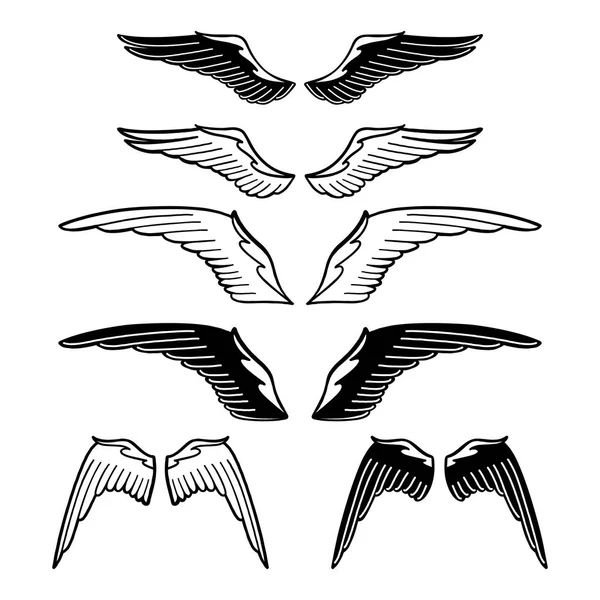 Colección gráfica de alas — Vector de stock