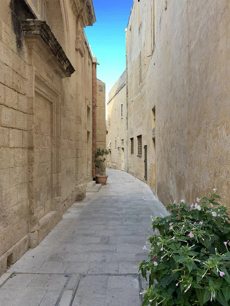 Maltańskie uliczki z tradycyjnymi domami w Mdina — Zdjęcie stockowe