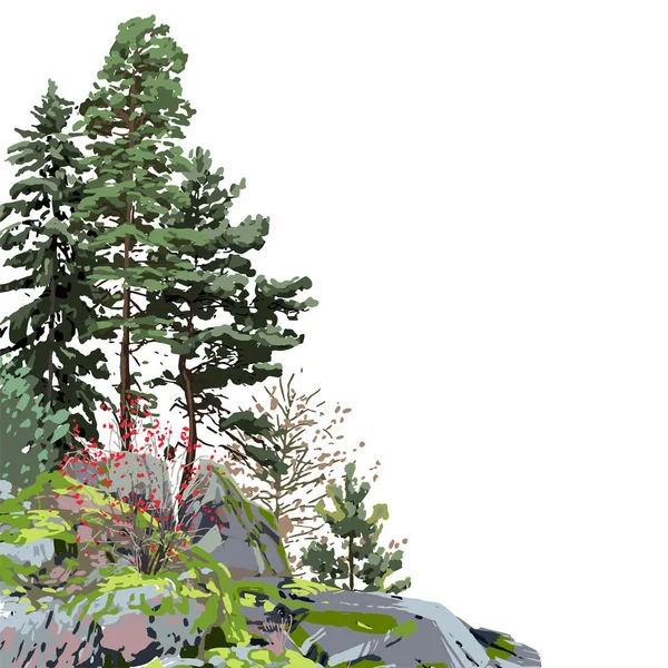 Хвойні дерева серед скель, покриті зеленим мохом — стоковий вектор