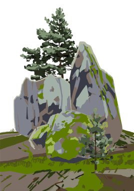 Kayaların arasında, yosun tutmuş kozalaklı ağaçlar....