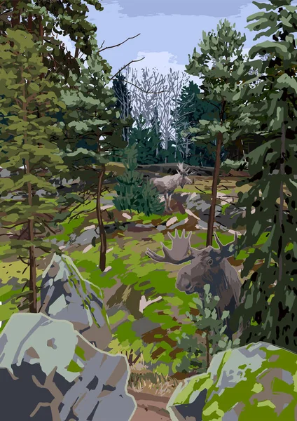 Paisaje escandinavo con bosque de coníferas en los campos rocosos . — Archivo Imágenes Vectoriales