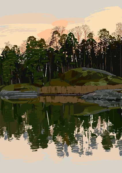 Bord rocheux du golfe de Finlande avec à l'arrière-plan une forêt mixte et un coucher de soleil — Image vectorielle