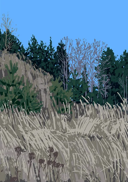 Pohled na kopec se suchou trávou a jehličnatým lesem mimo Petrohrad. — Stockový vektor