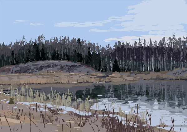 Vista sobre el lago y el bosque mixto fuera de San Petersburgo — Vector de stock