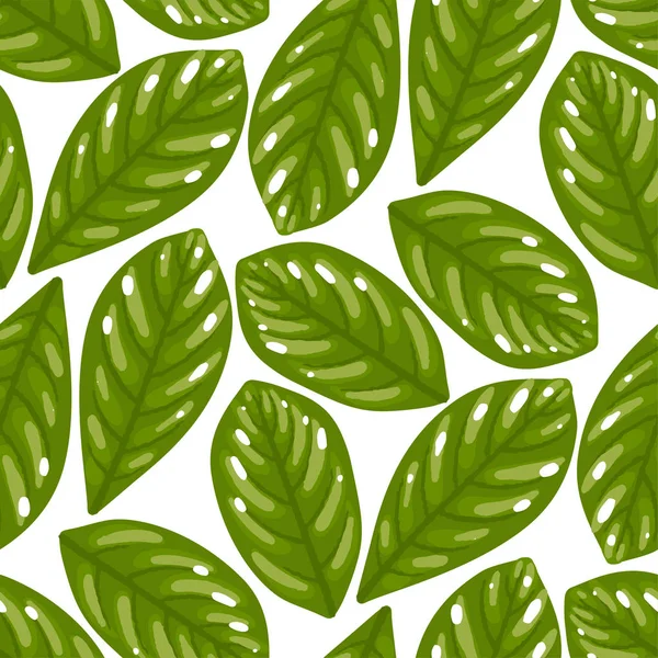 Vector patrón sin costura repetido de hojas de té verde . — Archivo Imágenes Vectoriales