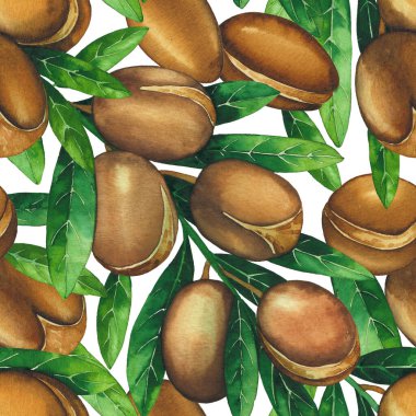 Suluboya argan bitkilerinin kusursuz deseni. El boyaması tasarım