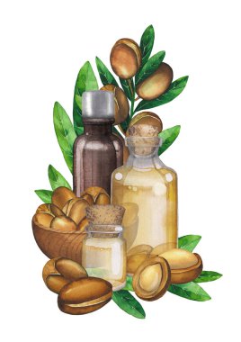 Argan bitkileriyle çevrili üç suluboya yağ şişesi