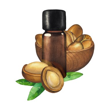 Argan bitkileriyle çevrili suluboya yağ şişesi.