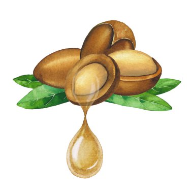 Argan bitkisinden damlayan suluboya yağ damlası.