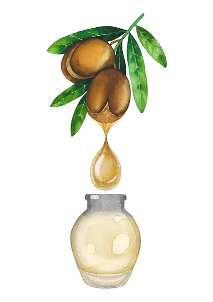 Watercolor oil drop dripping from the argan plant into the small glass bottle — Stock Photo, Image