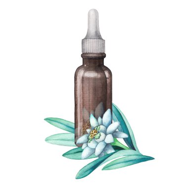 Edelweiss yaprakları ve çiçeklerle süslenmiş suluboya yağ şişesi