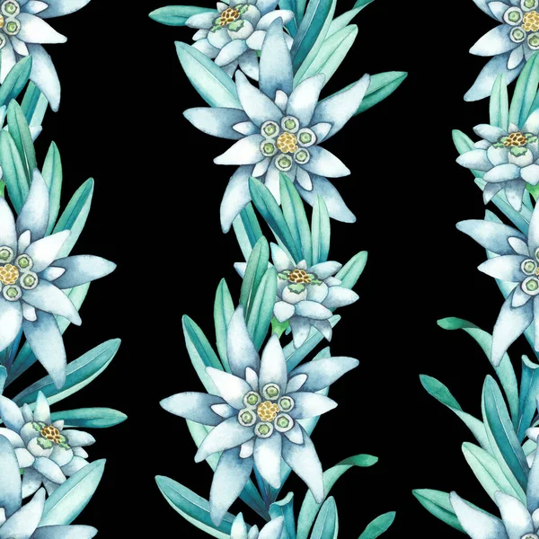 Naadloos patroon van edelweiss bloemen en bladeren. — Stockfoto