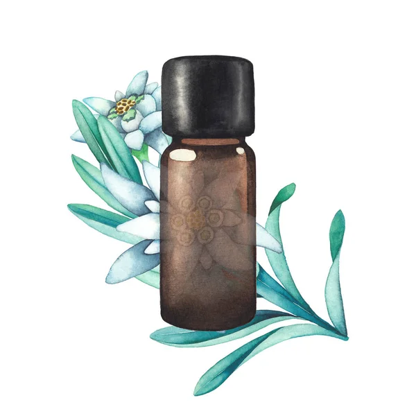 Watercolor essential oil bottle decorated with edelweiss leaves and flowers — Stock Photo, Image