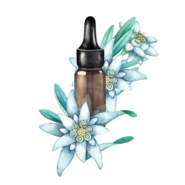 Akwarela olejek butelka ozdobiona liści szarotki i kwiatów — Zdjęcie stockowe