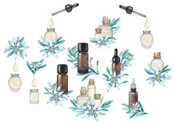 Collections of watercolor essential oil bottles decorated with edelweiss flowers and leaves — Stock Photo, Image