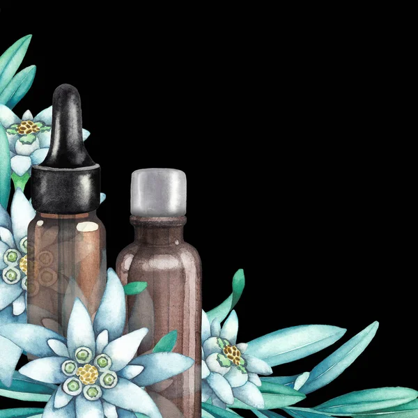 Watercolor essential oil bottles decorated with edelweiss leaves and flowers — Stock Photo, Image