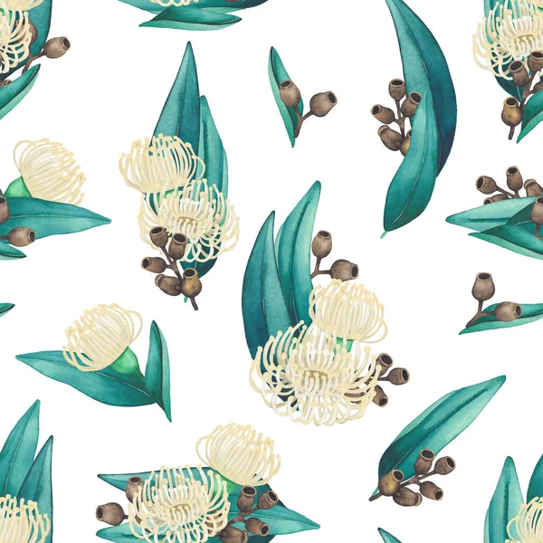 유칼립투스의 꽃 과 잎에 있는 바닷물없는 무늬. — 스톡 사진