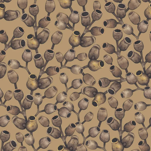 Bezešvé vzor akvarel suché eukalyptové pupeny. — Stock fotografie