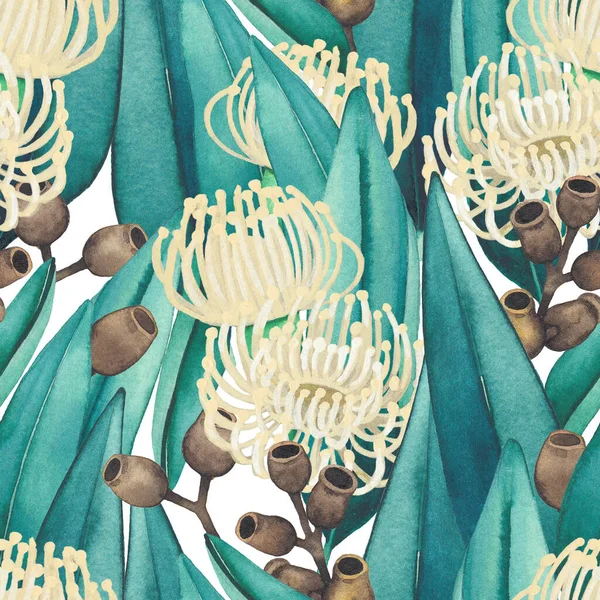 Płynny wzór eukaliptusa kwiaty i liście. — Zdjęcie stockowe