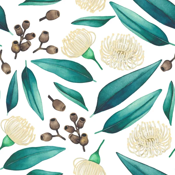 Naadloos patroon van aquarel eucalyptus bloemen en bladeren. — Stockfoto