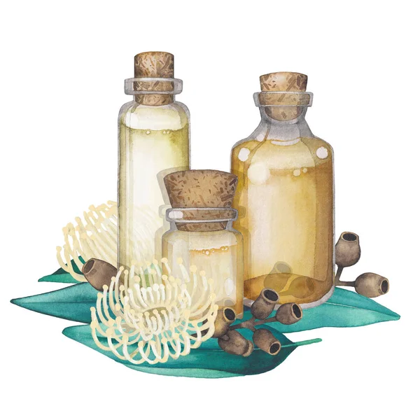 Watercolor essential oil bottles decorated with eucalyptus leaves and flowers — Stock Photo, Image