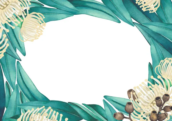 Akvarell eukalyptus blommor och blad. Handmålade blommor design — Stockfoto