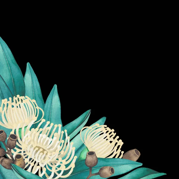 Acuarela flores y hojas de eucalipto. Diseño floral pintado a mano — Foto de Stock
