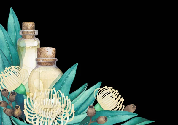 Aquarel essentiële olie flessen versierd met eucalyptus bladeren en bloemen — Stockfoto