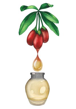 Goji bitkisiyle süslenmiş suluboya yağ şişesi