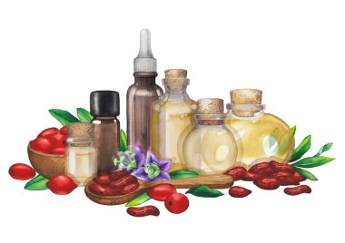Goji üzümü, yaprak ve çiçeklerle süslenmiş bir grup suluboya yağ şişesi..