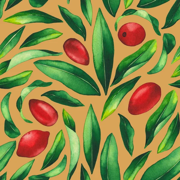 수채류 고지 열매와 잎의해 수없는 무늬. — 스톡 사진