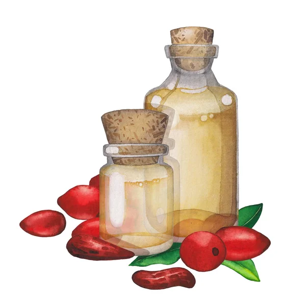 Watercolor essential oil bottles decorated with goji leaves and berries. — Stock Photo, Image