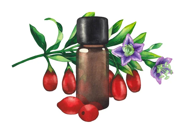 Υδατογραφία ουσιαστικό μπουκάλι λάδι διακοσμημένα με μούρα goji, φύλλα και λουλούδια — Φωτογραφία Αρχείου