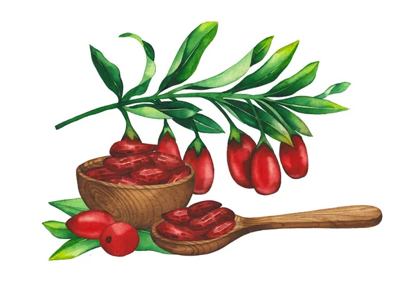 Aquarell-Komposition aus Goji-Beeren, Blättern, Holzschale und Löffel — Stockfoto