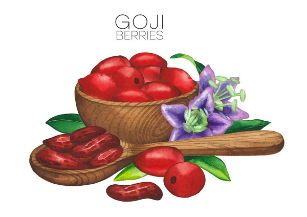 Composizione acquerello di bacche di goji, fiori, foglie, ciotola di legno e cucchiaio . — Foto Stock