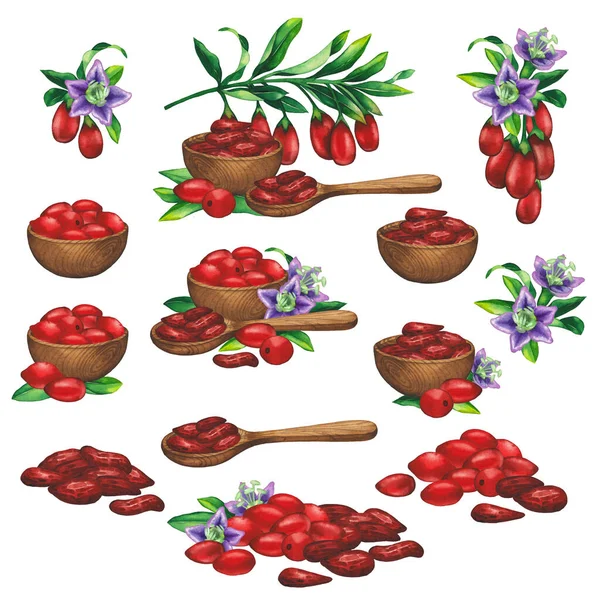 Коллекции акварельных ягод годжи внутри деревянных чаш и ложек . — стоковое фото